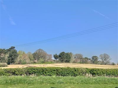 Picture 45